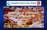José A. López García-Asenjo Servicio de Anatomía Patológica Sección de inmunohistoquímica
