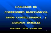 HABLEMOS  DE CORREDORES  BI-OCEÁNICOS, PASOS  CORDILLERANOS      y CAMINOS  RURALES