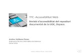 TFC -Accessibilitat Web