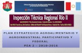 PLAN ESTRATEGICO AGROALIMENTARIO Y AGROINDUSTRIAL PARTICIPATIVO Y FEDERAL  PEA 2 – 2010-2016