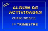 ALBUM DE ACTIVIDADES
