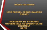 JOSE MIGUEL CERON GALINDO 391831