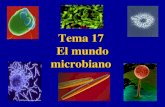 Tema 17  El mundo microbiano  !