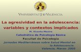 Jornadas Mediterráneas sobre Salud Mental en la Adolescencia .  Valencia ,  Marzo - 200 5