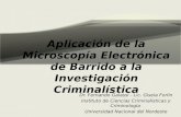 A plicación de la Microscopía  E lectrónica de Barrido a la Investigación Criminalística
