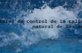 Factores de control de la calidad  natural de las aguas Dra. Belén Buil Gutiérrez
