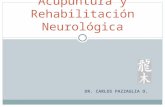 Acupuntura y Rehabilitación Neurológica