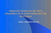 Detecci ó n temprana del daño mioc á rdico en la enfermedad del Mal de Chagas
