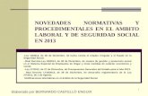 NOVEDADES NORMATIVAS Y PROCEDIMENTALES EN EL AMBITO LABORAL Y DE SEGURIDAD SOCIAL EN 2013