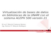 Virtualización  de bases de datos en bibliotecas de la UNAM con el sistema ALEPH 500 versión 21