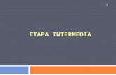 ETAPA INTERMEDIA
