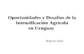 Oportunidades y Desafíos de la Intensificación Agrícola en Uruguay