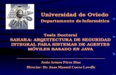 __________________________________ Jesús Arturo Pérez Díaz Director: Dr. Juan Manuel Cueva Lovelle