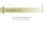 Lenguaje C++