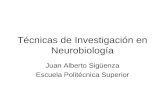 Técnicas de Investigación en Neurobiología