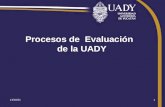 Procesos de  Evaluación   de la UADY