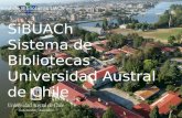 Universidad  Austral  de  Chile