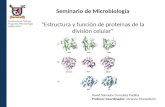 Seminario de Microbiología “Estructura y función de proteínas de la división celular”