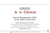 GRIDS  &  e- Ciencia