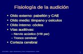 Fisiología de la audición