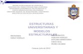 ESTRUCTURAS UNIVERSITARIAS Y  MODELOS ESTRUCTURALES