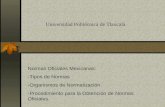 . Universidad Politécnica de Tlaxcala