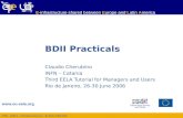 BDII Practicals