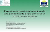Experiencia provincial relacionada a la pandemia de gripe por virus A H1N1 nuevo subtipo
