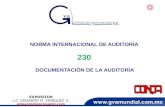 NORMA INTERNACIONAL DE AUDITORÍA 230 DOCUMENTACIÓN DE LA  AUDITORÍA