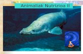 Animaliak Nutrizioa II