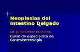 Neoplasias del Intestino Delgado