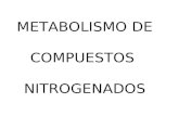 METABOLISMO DE COMPUESTOS  NITROGENADOS