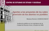 Aportes a los proyectos de ley sobre provisión de los abortos no punibles