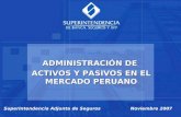 ADMINISTRACIÓN DE  ACTIVOS Y PASIVOS EN EL MERCADO PERUANO