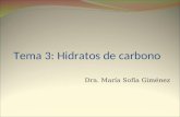 Tema 3: Hidratos de carbono