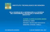 INSTITUTO TECNOLOGICO DE SONORA