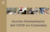 Acción Humanitaria  del CICR en Colombia