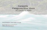 Campaña   Patagonia Ríos Vivos ECOSISTEMAS
