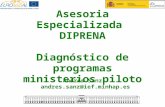 Asesoria Especializada  DIPRENA Diagnóstico de programas ministerios piloto