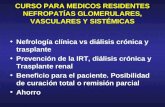 CURSO PARA MEDICOS RESIDENTES NEFROPATÍAS GLOMERULARES, VASCULARES Y SISTÉMICAS