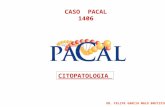 CASO  PACAL 1406