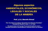 Algunos aspectos AMBIENTALES, ECONÓMICOS, LEGALES Y SOCIALES  DE LA MINERÍA
