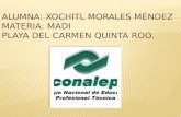 Alumna: Xochitl Morales Méndez Materia: MADI Playa del Carmen Quinta Roo.