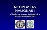 NEOPLASIAS MALIGNAS I