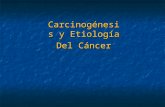 Carcinogénesis y Etiología  Del Cáncer