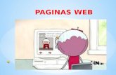 PAGINAS  WEB