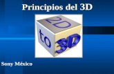 Principios del  3D