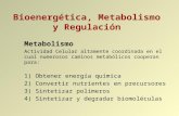Bioenergética, Metabolismo y Regulación