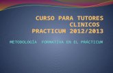 CURSO PARA TUTORES CLINICOS  PRACTICUM 2012/2013