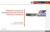 Situación  Actual (y perspectiva)  del Sector Eléctrico Peruano